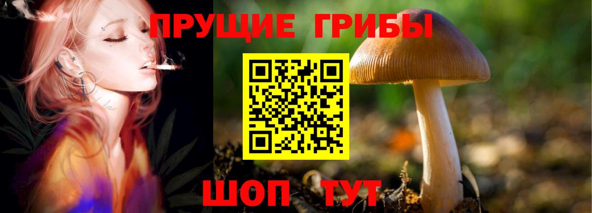Надым  Галлюциногенные грибы GOLDEN TEACHER  Вход с VPN 